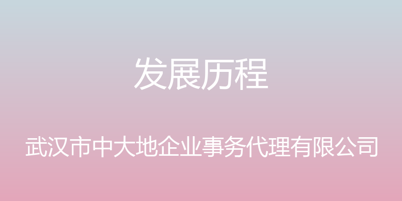 发展历程 - 武汉市中大地企业事务代理有限公司