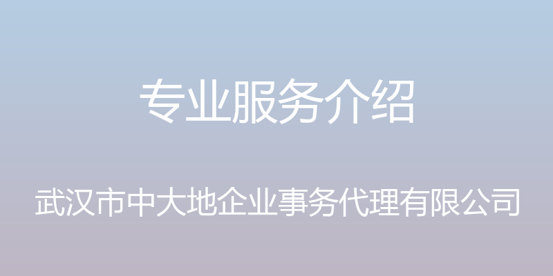 专业服务介绍 - 武汉市中大地企业事务代理有限公司