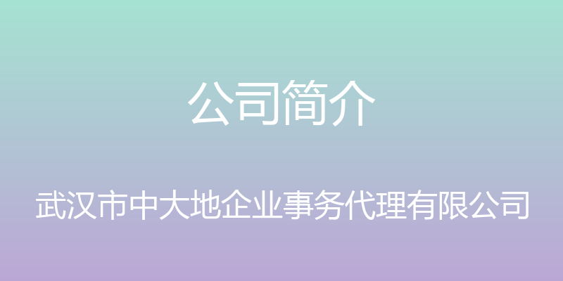 公司简介 - 武汉市中大地企业事务代理有限公司