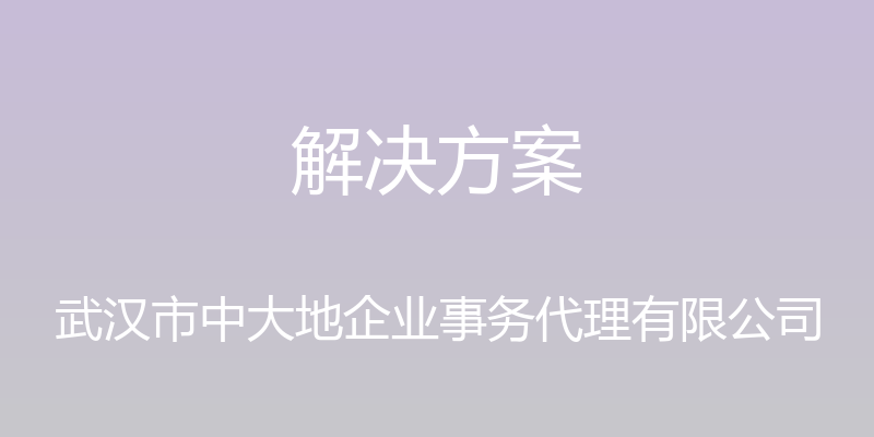 解决方案 - 武汉市中大地企业事务代理有限公司