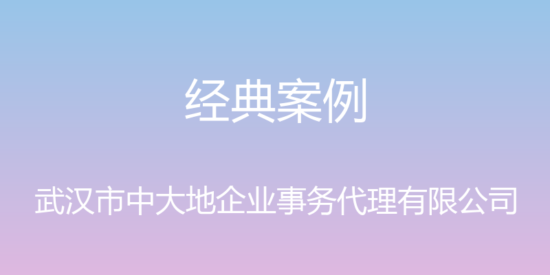 经典案例 - 武汉市中大地企业事务代理有限公司