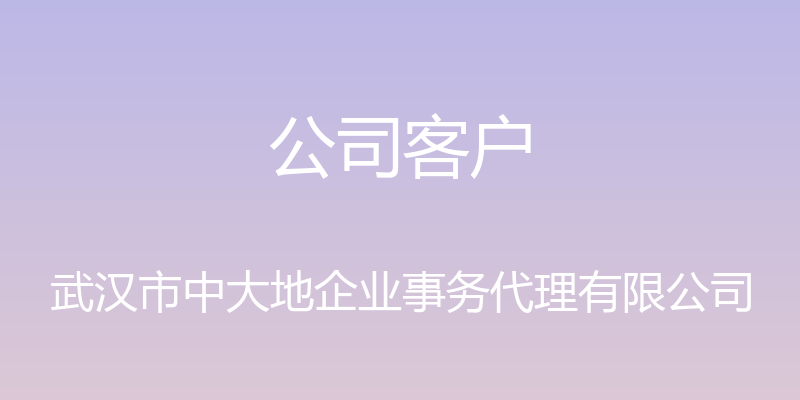 公司客户 - 武汉市中大地企业事务代理有限公司