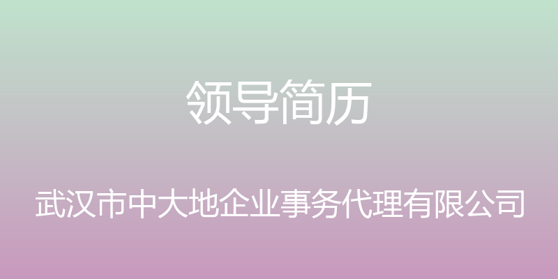 领导简历 - 武汉市中大地企业事务代理有限公司