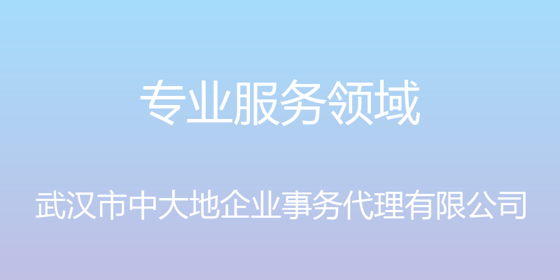 专业服务领域 - 武汉市中大地企业事务代理有限公司