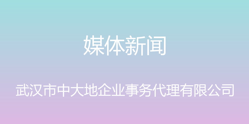 媒体新闻 - 武汉市中大地企业事务代理有限公司