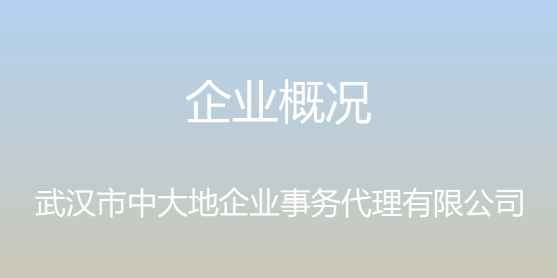 企业概况 - 武汉市中大地企业事务代理有限公司