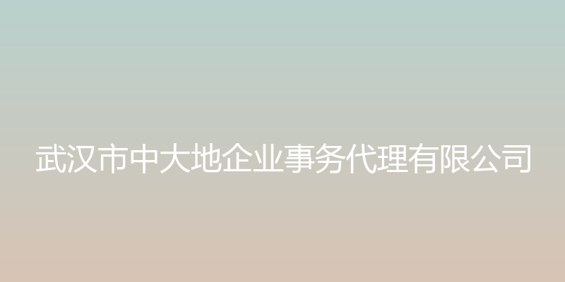 武汉市中大地企业事务代理有限公司