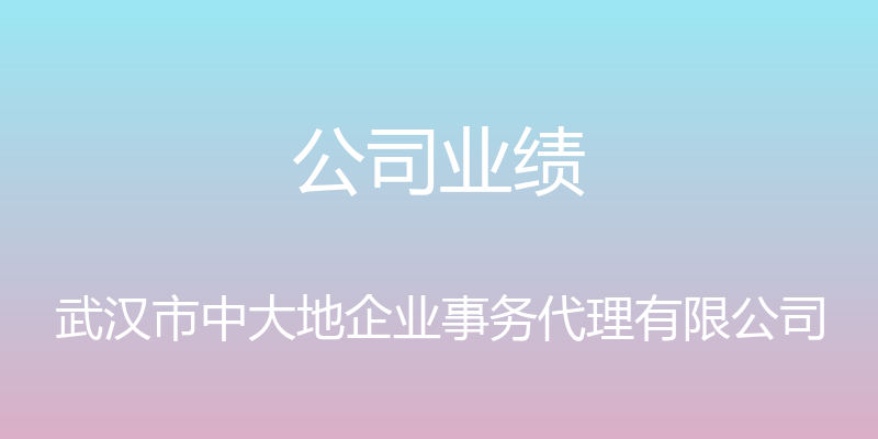 公司业绩 - 武汉市中大地企业事务代理有限公司