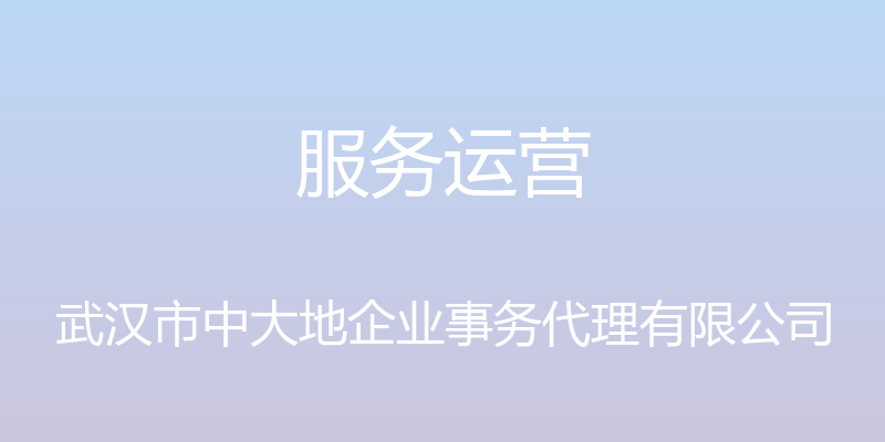 服务运营 - 武汉市中大地企业事务代理有限公司